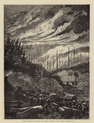Die Waldbrände am Ufer des Michigansees